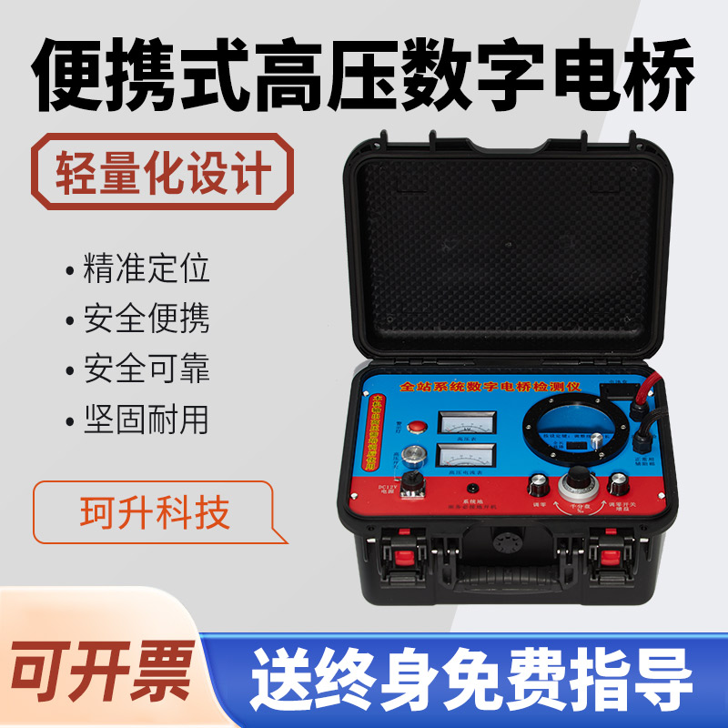 郑州市高压脉冲定点仪声磁同步定点仪 - 厂家